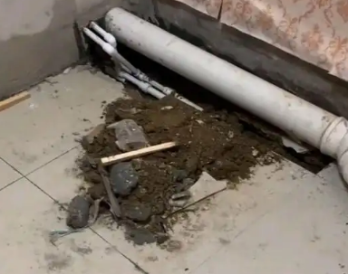 剑河卫生间漏水检测哪家好